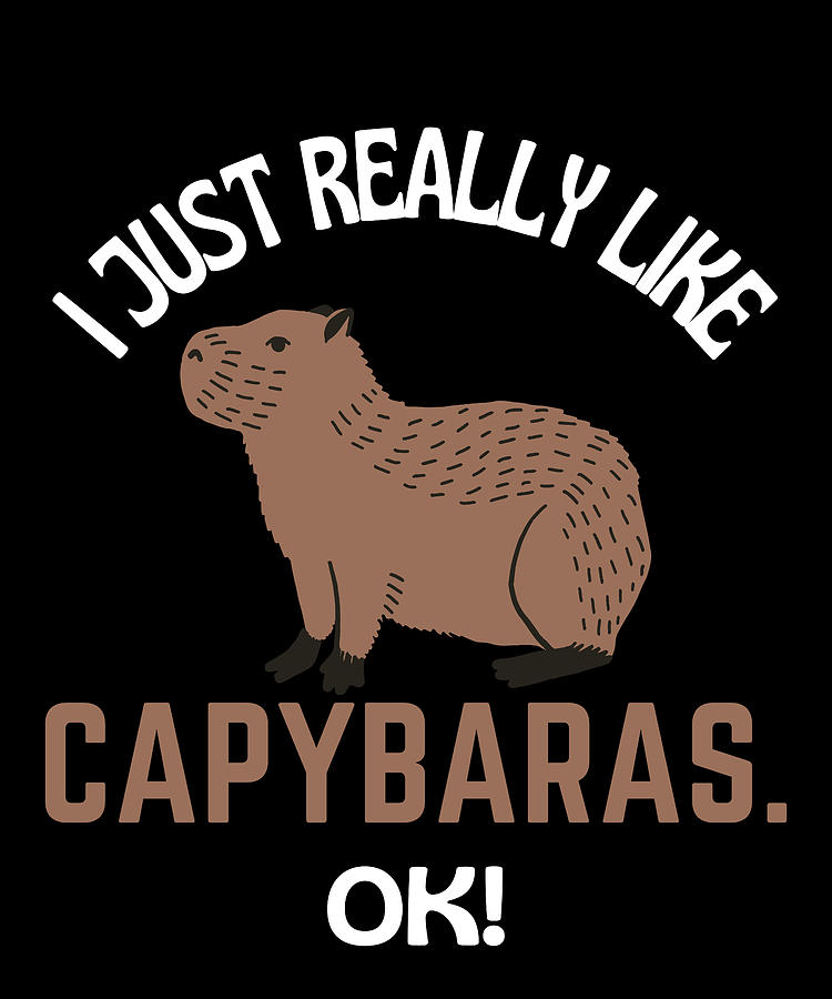 I Just Really Like Capybaras Ok Capybara Humor Drawing by Faiz Nawaz ...
