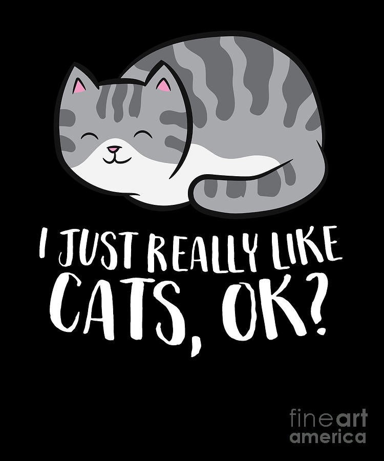I Just Really Like Cats Ok Funny Cat Digital Art By Eq Designs