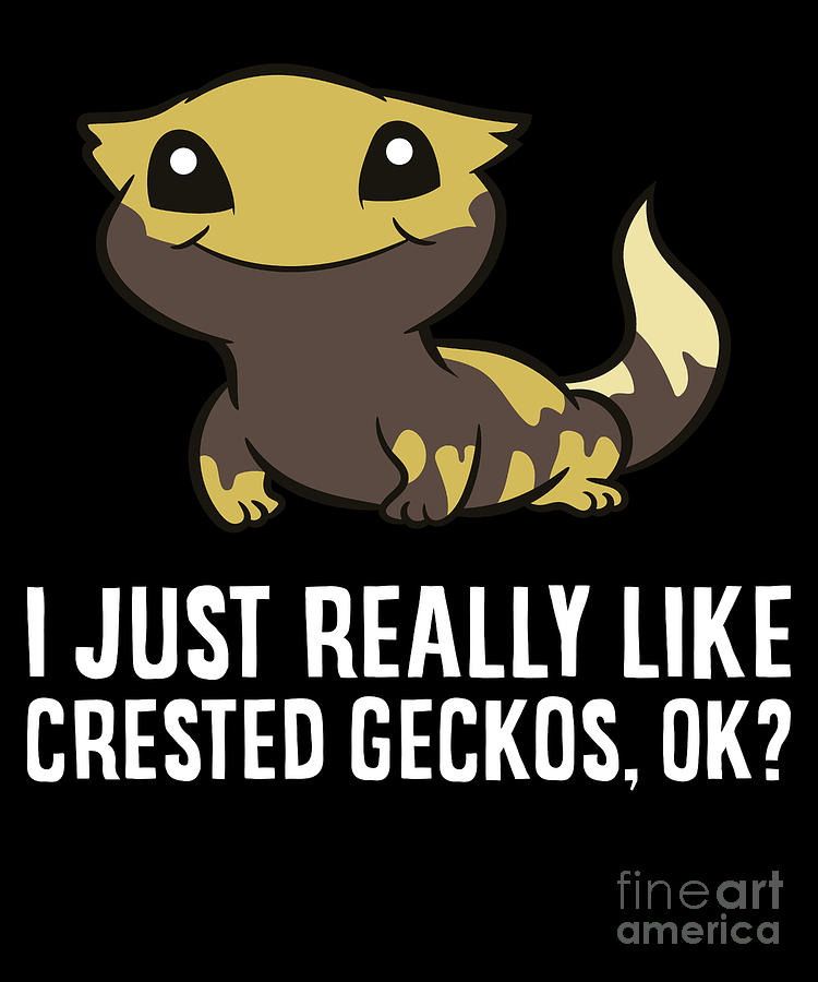 I Just Really Like Crested Geckos Okay Funny Crested Gecko Digital Art ...