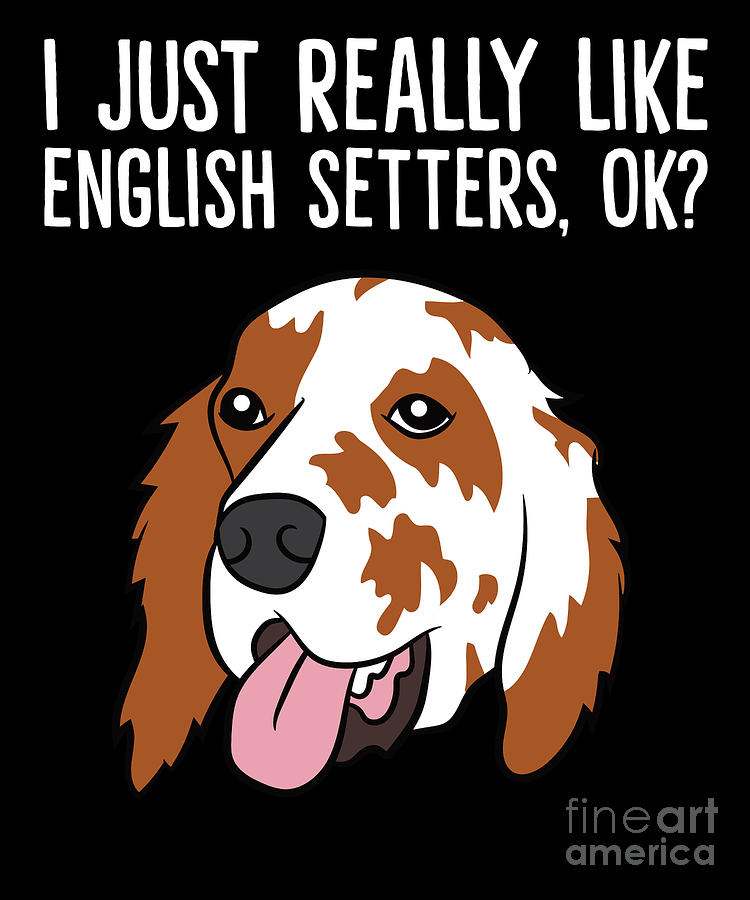 I Just Really Like English Setters Okay Funny English Setter Digital ...