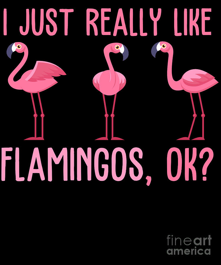 I Just Really Like Flamingos Digital Art by EQ Designs - Fine Art America