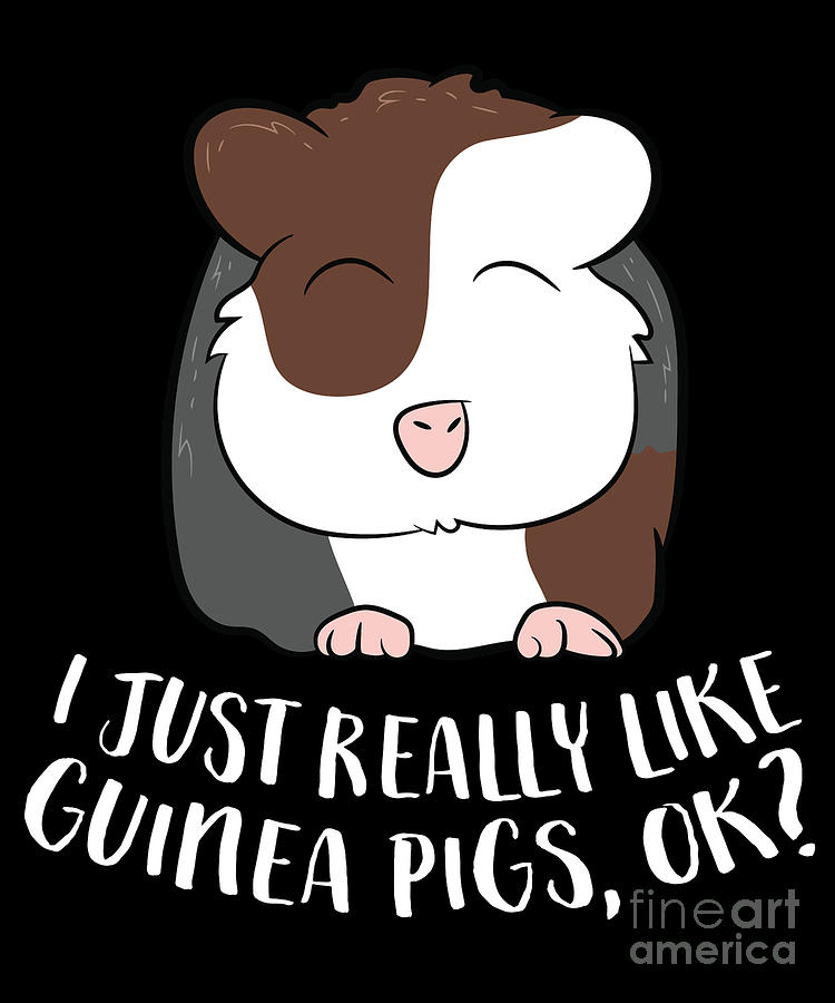 I Just Really Like Guinea Pigs Ok Cute Guinea Pig Digital Art by EQ ...