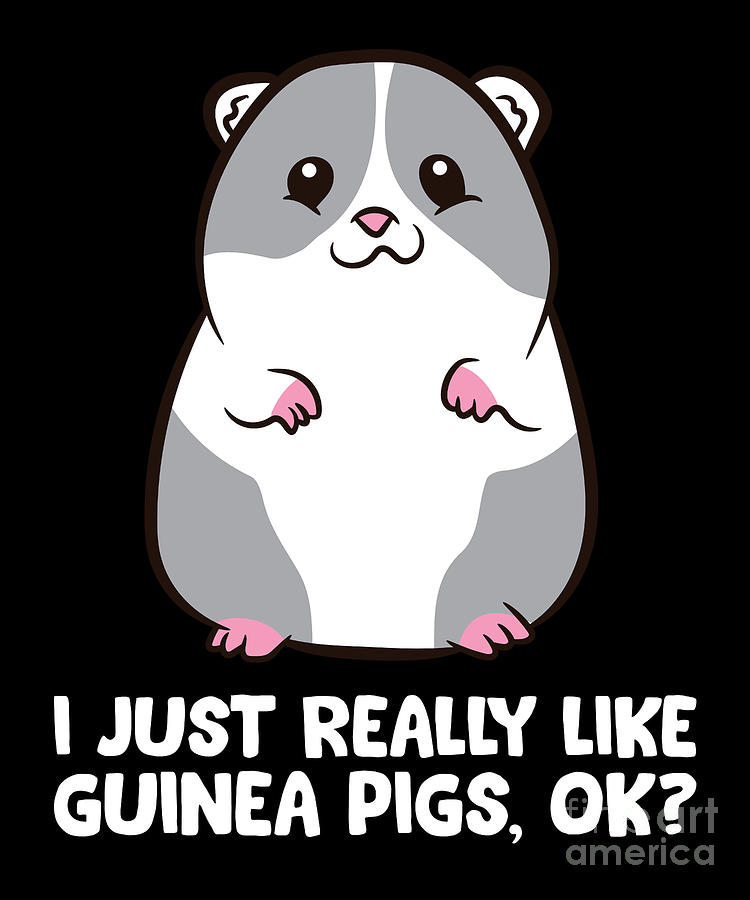 I Just Really Like Guinea Pigs Ok Funny Guinea Pig Lover Digital Art by ...