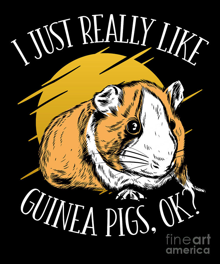 I Just Really Like Guinea Pigs Ok Funny Guinea Pig Digital Art By 