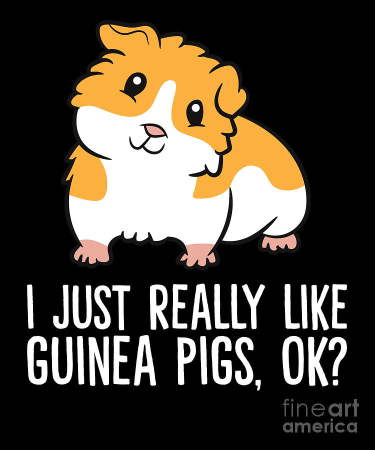 I Just Really Like Guinea Pigs Ok Guinea Pig Digital Art by EQ Designs ...