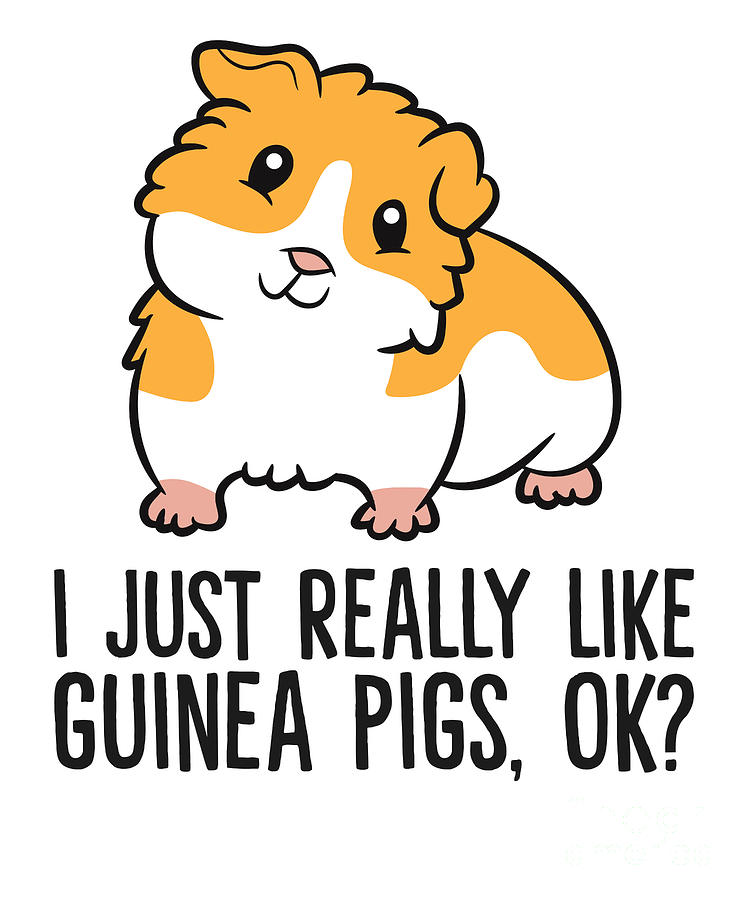 I Just Really Like Guinea Pigs Okay Cute Guinea Pig Tapestry - Textile ...