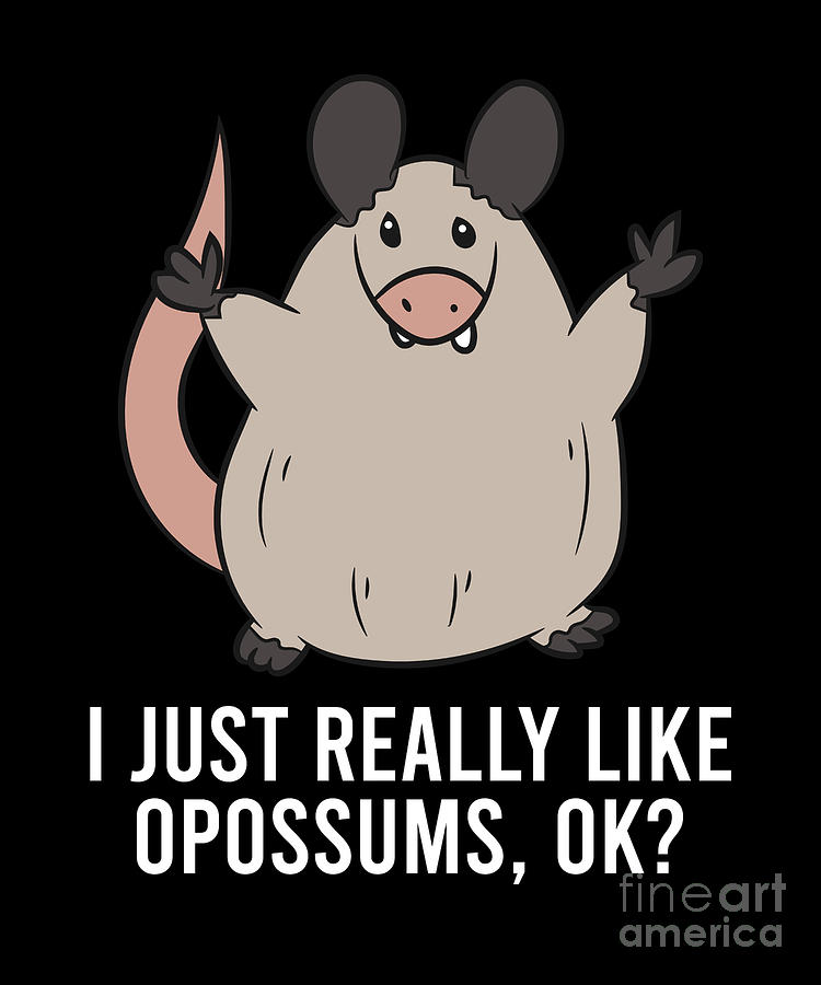 I Just Really Like Opossums Ok Funny Opossum Digital Art by EQ Designs