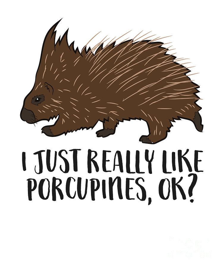 I Just Really Like Porcupines Ok Funny Porcupine Tapestry - Textile by ...