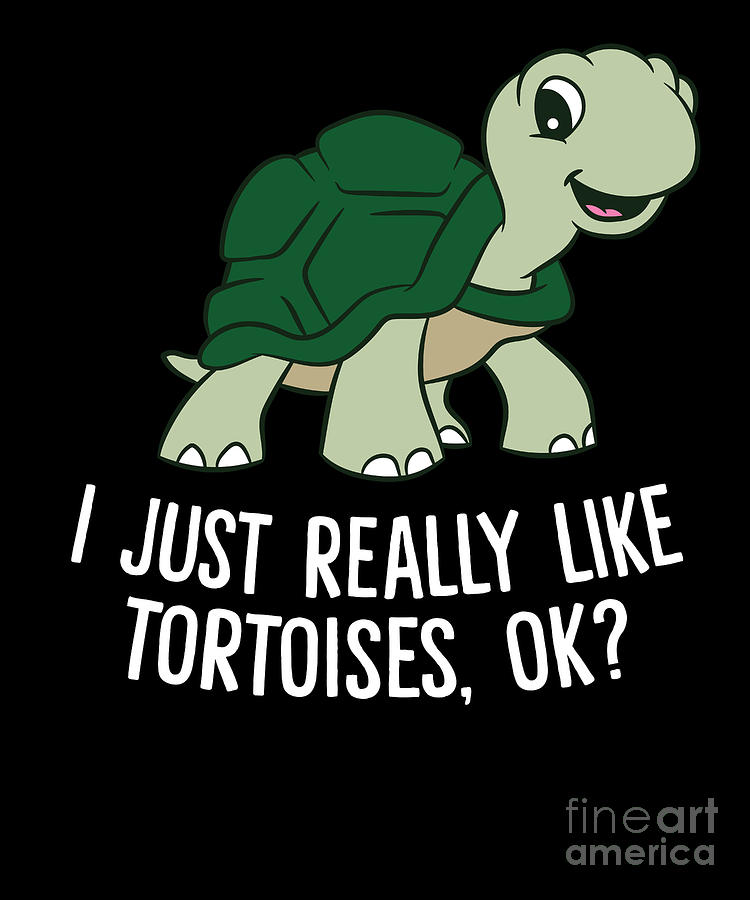 I Just Really Like Tortoises Ok Funny Tortoise Gift Digital Art by EQ ...