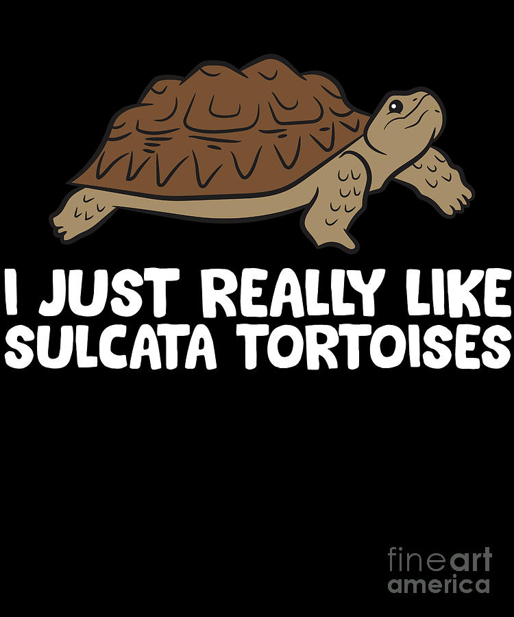 I Just Really Like Tortoises Okay Funny Sulcata Tortoise Digital Art by EQ  Designs - Pixels