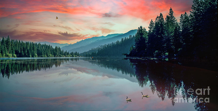 I Lake You Photograph by David Zanzinger