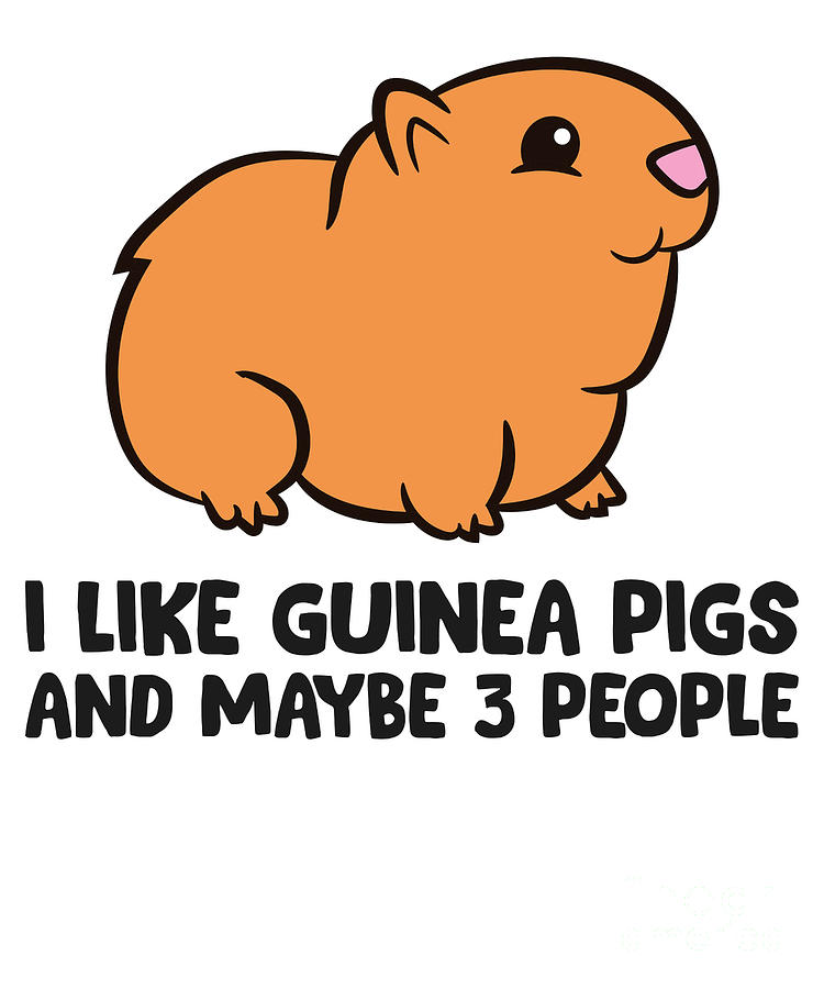 I Like Guinea Pigs And Maybe Like 3 People Guinea Pigs Tapestry ...