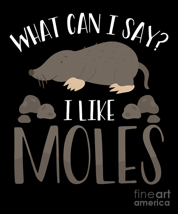 I like moles Digital Art by BeMi90 - Fine Art America