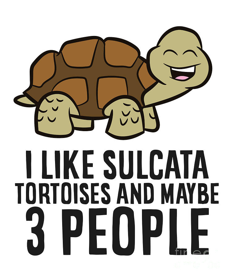 I Like Tortoises And Maybe Like 3 People Sulcata Tortoises Tapestry ...