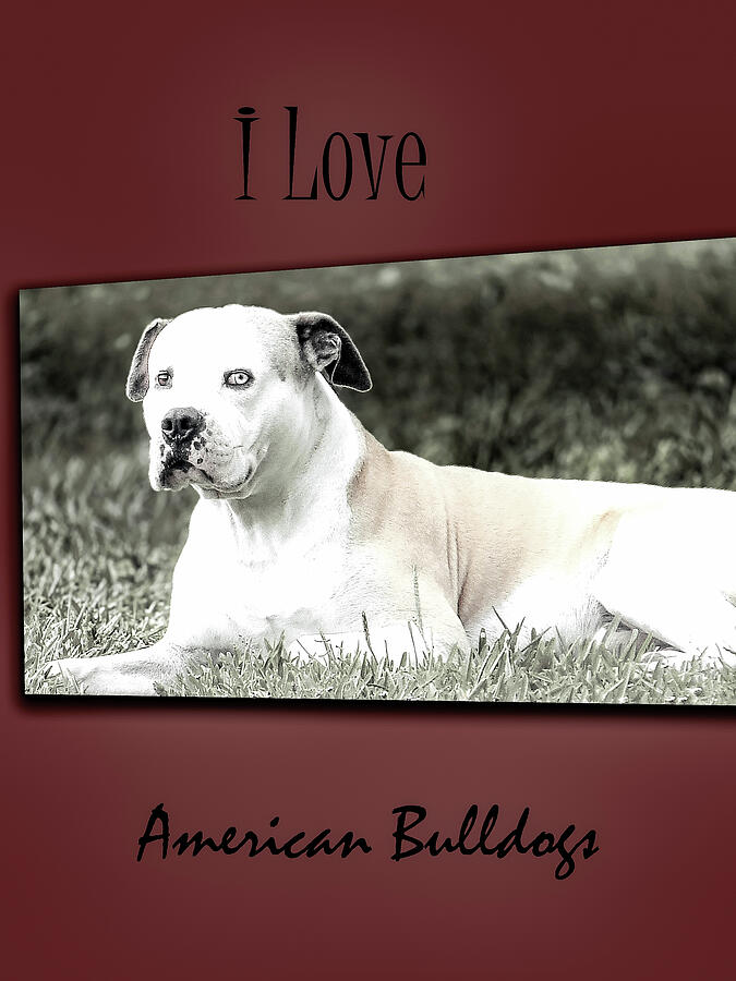 I Love American Bulldogs Posters 2  Digital Art by Miss Pet Sitter