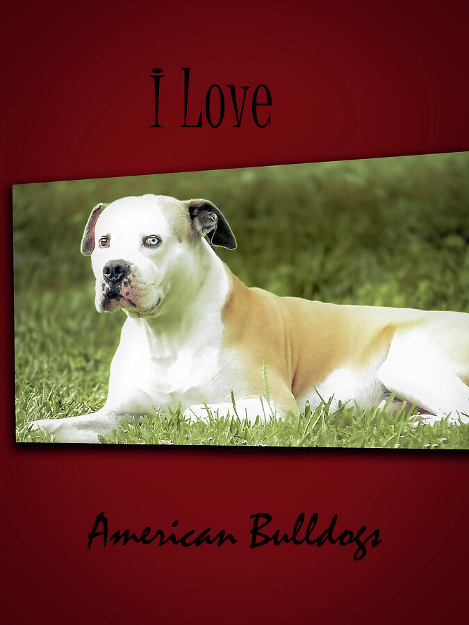 I Love American Bulldogs Posters 3  Digital Art by Miss Pet Sitter