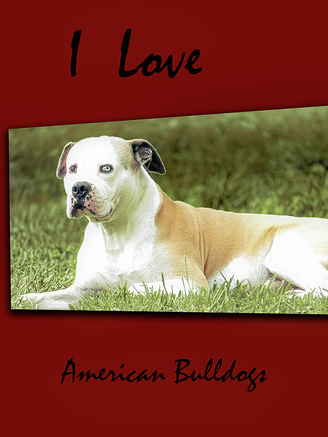 I Love American Bulldogs Posters 4 Digital Art by Miss Pet Sitter