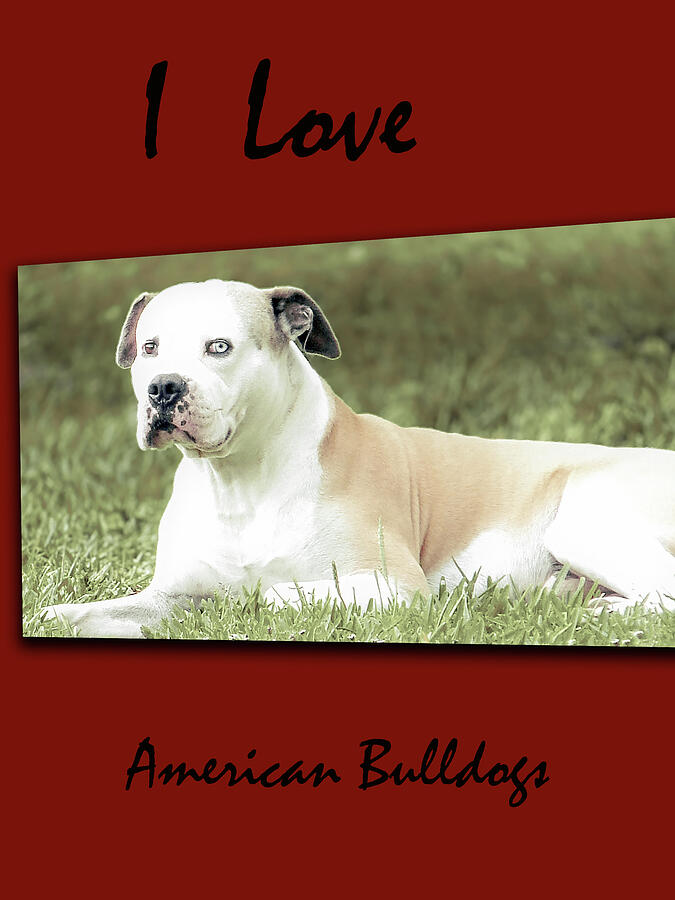 I Love American Bulldogs Posters 5 Digital Art by Miss Pet Sitter