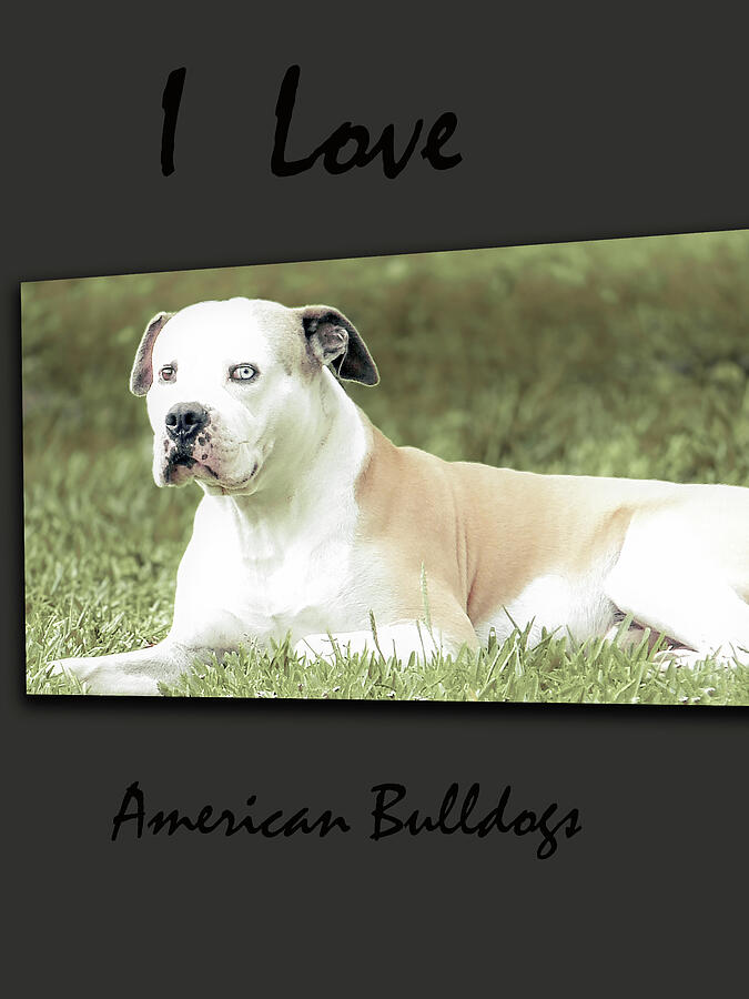 I Love American Bulldogs Posters 6 Digital Art by Miss Pet Sitter