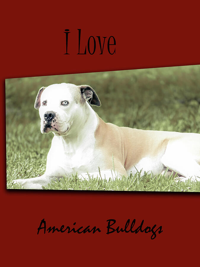 I Love American Bulldogs Posters Digital Art by Miss Pet Sitter