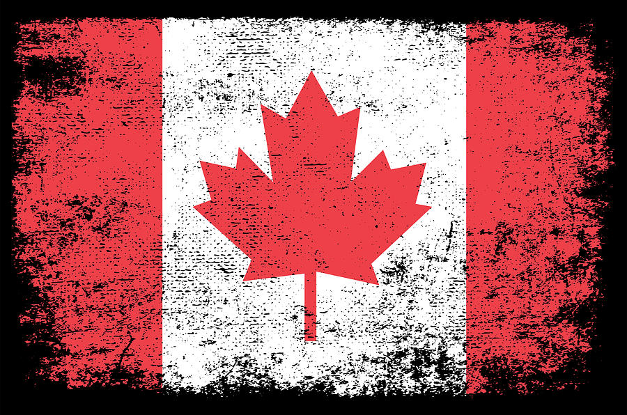 I Love Canada Maple Leaf Canadian Flag Painting by Tony Rubino