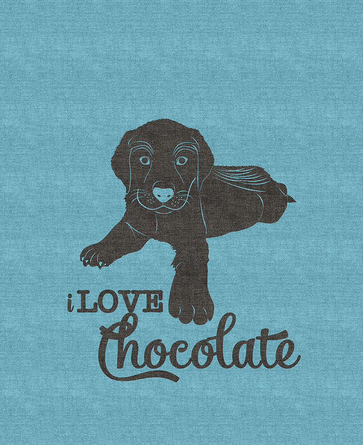 I Love Chocolate Labs Digital Art by Doreen Erhardt