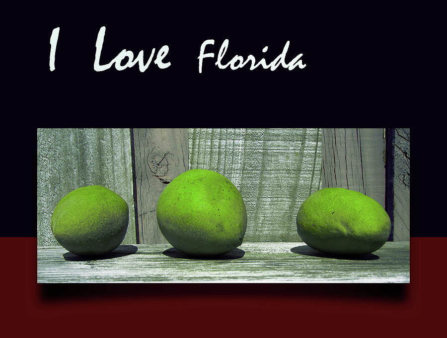 I love Florida Posters 3 Digital Art by Miss Pet Sitter
