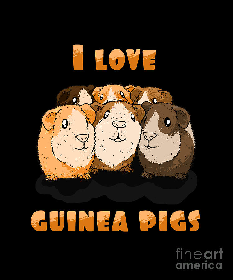 I love guinea pigs Digital Art by TenShirt - Fine Art America
