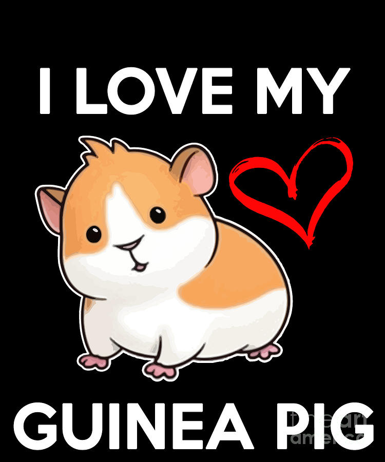 I Love My Guinea Pig Digital Art by Funny4You