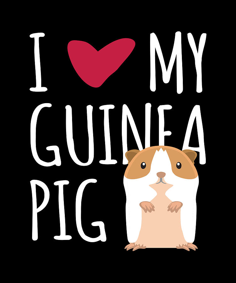 I Love My Guinea Pig Guinea Pig Digital Art by Moon Tees