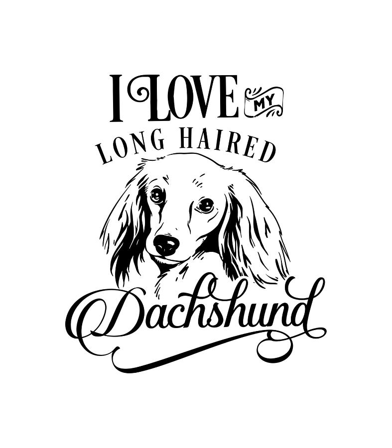 I Love My Long Haired Dachshund Digital Art by Sambel Pedes