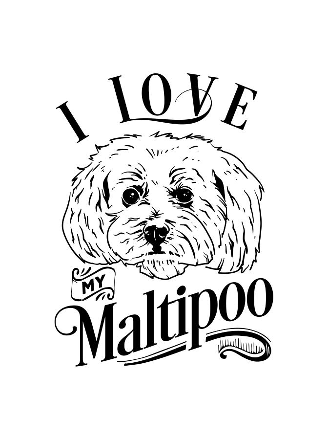 My maltipoo hot sale