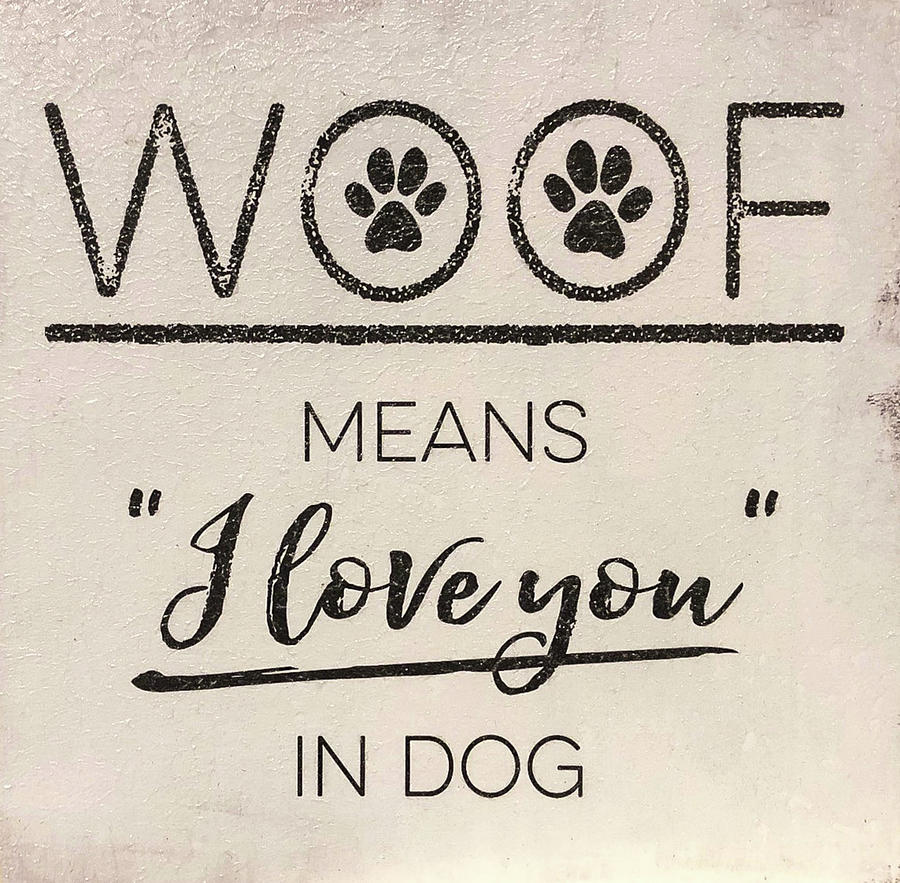 I Love You In Dog Signage Art Photograph