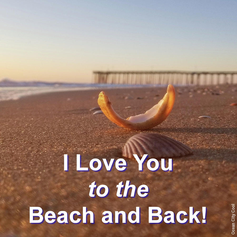 I Love You to the Beach and Back Photograph by Robert Banach