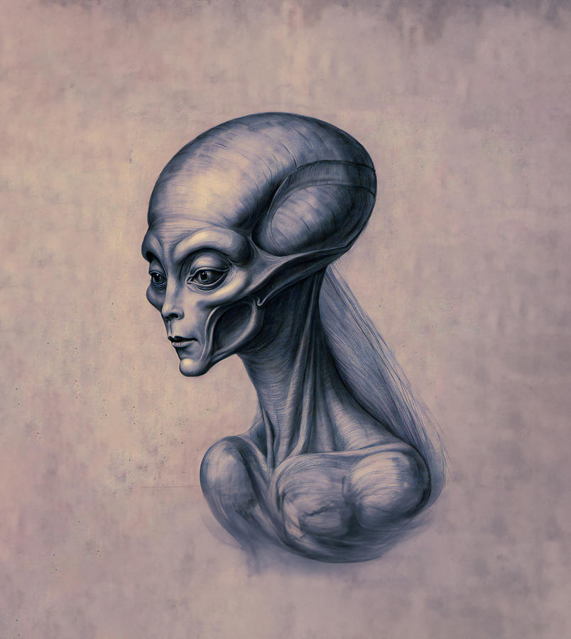 I Married an Alien Digital Art by Steve Taylor