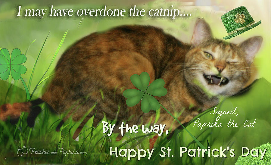 I May Have OverDone the Catnip Digital Art by Carol Lowbeer - Fine Art ...