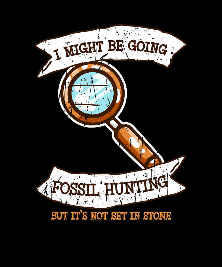 I might be going fossil hunting but it's not set in stone geology