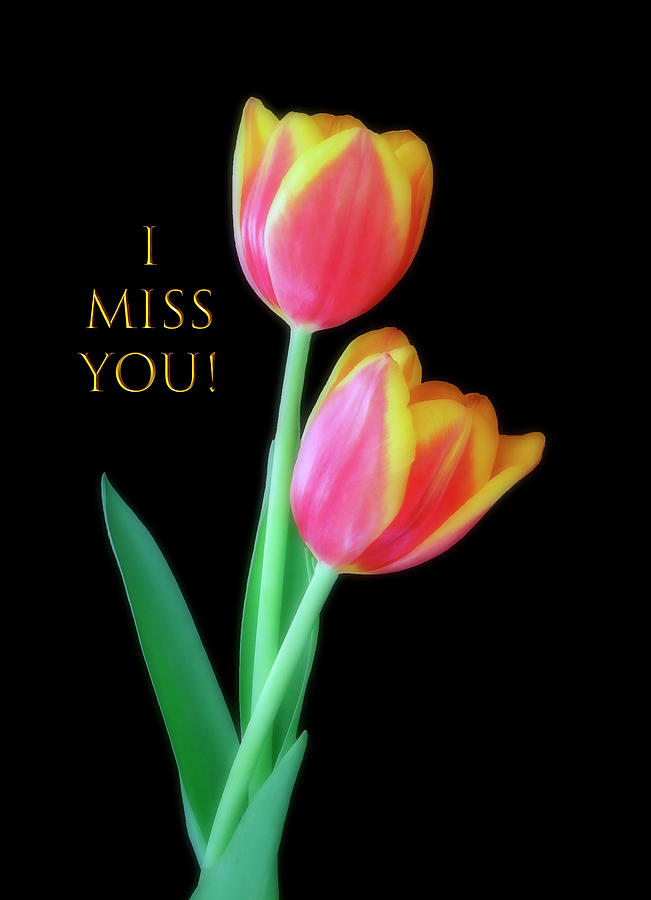 I Miss You Greeting With Tulips Mixed Media by Johanna Hurmerinta