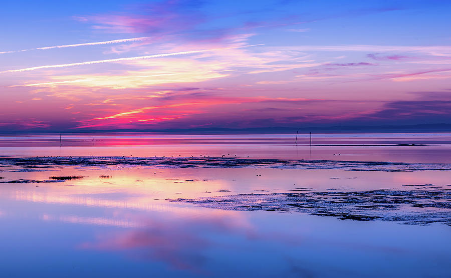 Sunset Photograph - I see life in pink by Thierry Bouriat