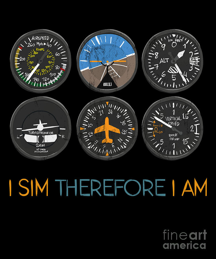 Airplane Drawing - I Sim Therefore I Am Flight Simulation Hobby Pilot Design by Noirty Designs