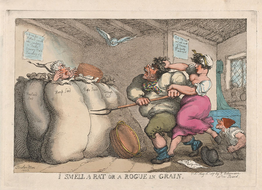  I Smell a Rat or a Rogue in Grain Drawing by Thomas Rowlandson