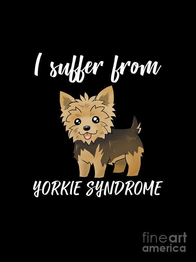Yorkshire Terrier - Dog - Zerochan Anime Image Board