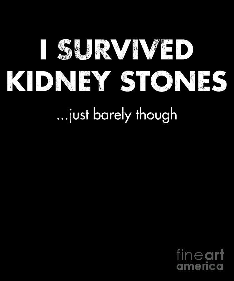 I Survived Kidney Stones Just Barely Though Drawing By Noirty Designs