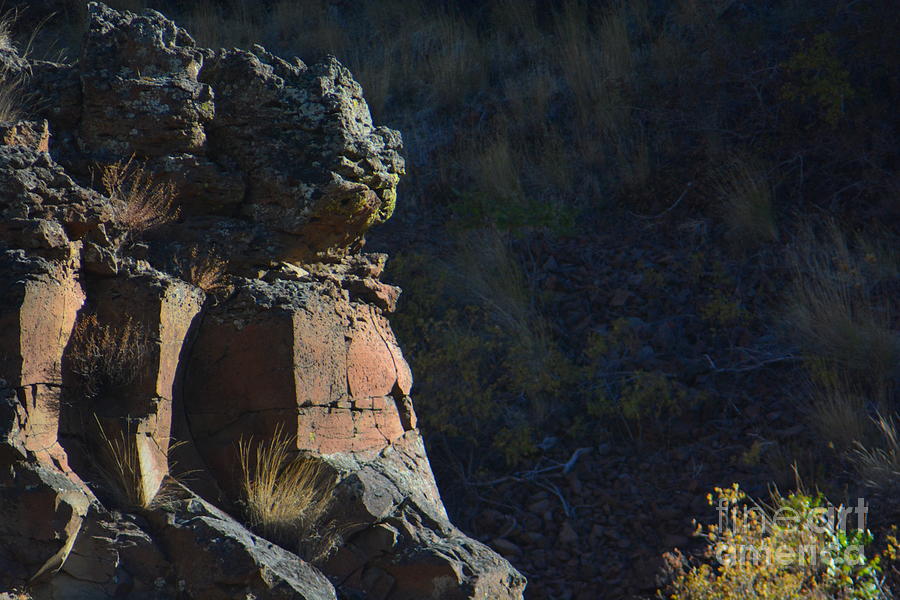 Light Photograph - I wait for the warmth of YHWHs Greater Light by YHWHY Vance Light Photograph - I wait for the warmth of YHWHs Greater Light by YHWHY Vance