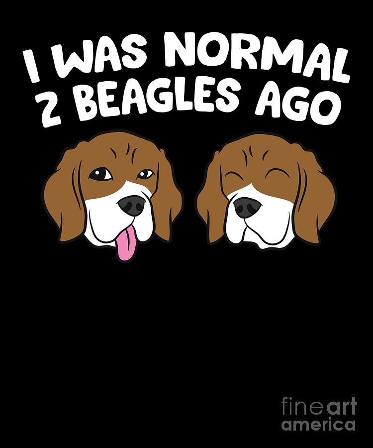 funny beagle pictures with captions