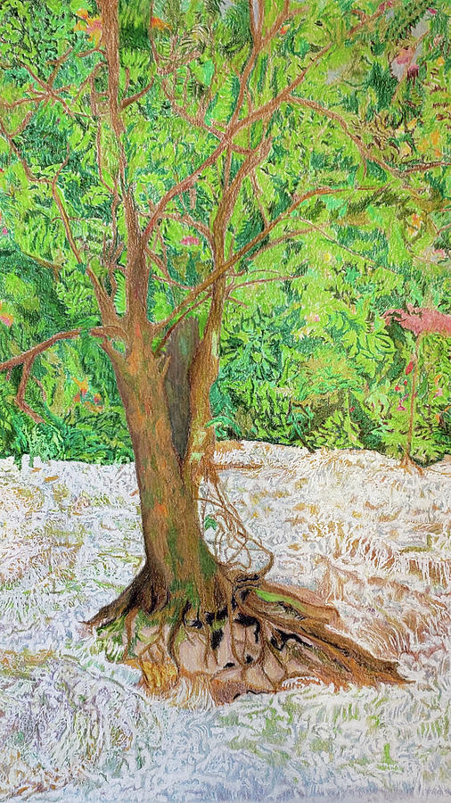I Will Survive - Banyon Tree In Dunne River Below The Falls In Jamaica Painting
