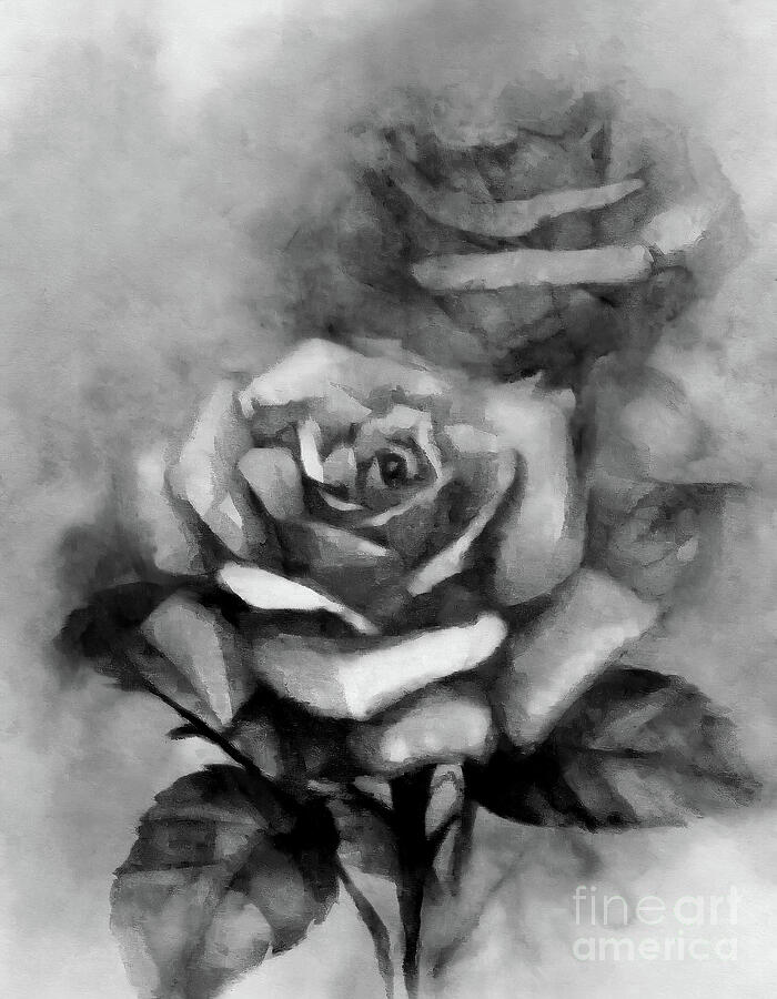 I Would Rather Have Roses Digital Art