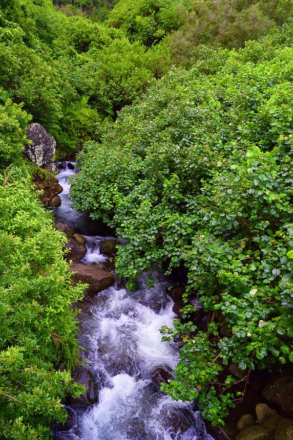Iao stream,Iao Valley,Maui Photograph by Bnte Creations