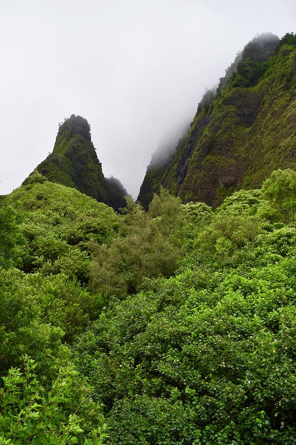 Iao Valley Needle,Maui,Hawaii Photograph by Bnte Creations