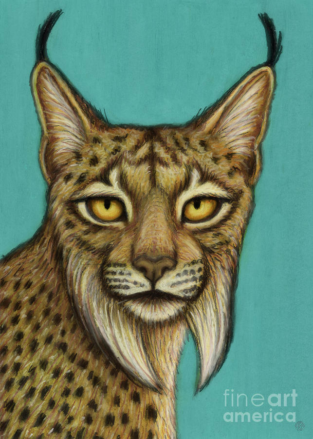 Iberian Lynx  Painting by Amy E Fraser